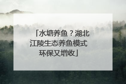 水塘养鱼？湖北江陵生态养鱼模式环保又增收