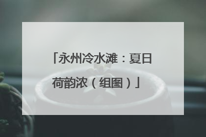 永州冷水滩：夏日荷韵浓（组图）