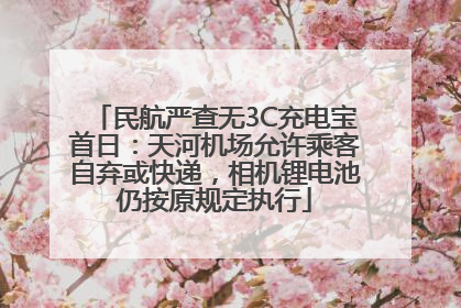 民航严查无3C充电宝首日：天河机场允许乘客自弃或快递，相机锂电池仍按原规定执行