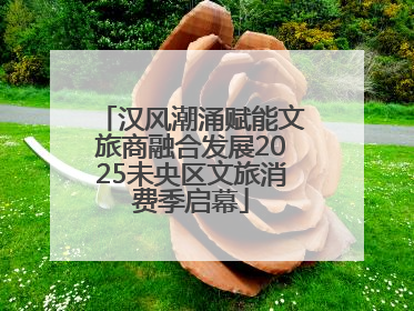 汉风潮涌赋能文旅商融合发展2025未央区文旅消费季启幕