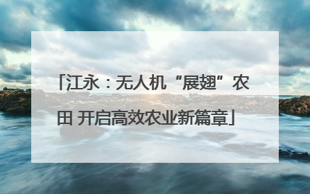 江永：无人机“展翅”农田 开启高效农业新篇章