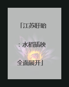 江苏盱眙：水稻插秧全面展开