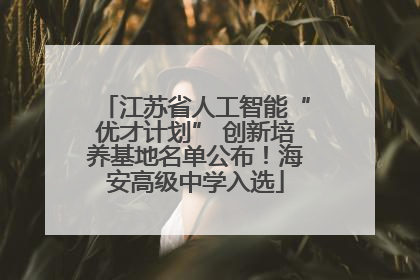 江苏省人工智能“优才计划” 创新培养基地名单公布！海安高级中学入选