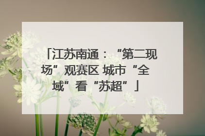 江苏南通：“第二现场”观赛区 城市“全域”看“苏超”