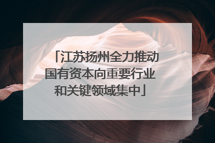 江苏扬州全力推动国有资本向重要行业和关键领域集中