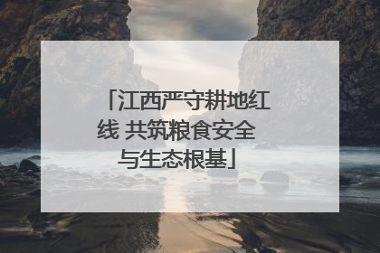 江西严守耕地红线 共筑粮食安全与生态根基