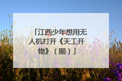 江西少年想用无人机打开《天工开物》（图）