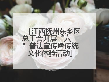 江西抚州东乡区总工会开展“六一”普法宣传暨传统文化体验活动