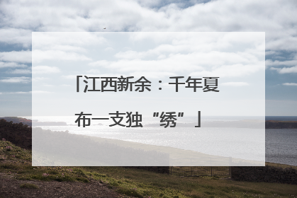 江西新余：千年夏布一支独“绣”