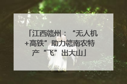 江西赣州：“无人机+高铁”助力赣南农特产“飞”出大山
