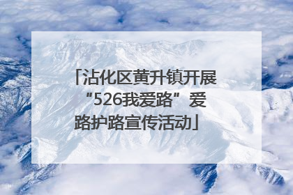 沾化区黄升镇开展“526我爱路”爱路护路宣传活动