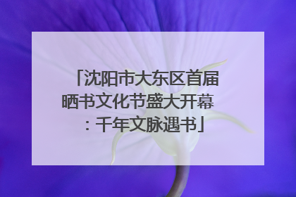 沈阳市大东区首届晒书文化节盛大开幕：千年文脉遇书