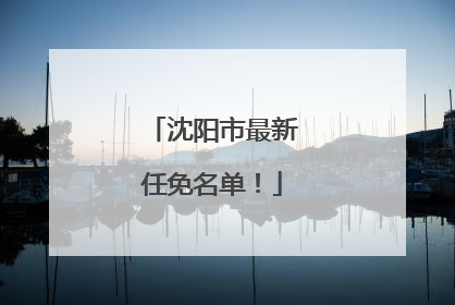 沈阳市最新任免名单！