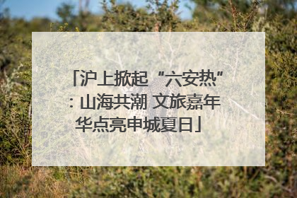 沪上掀起“六安热”：山海共潮 文旅嘉年华点亮申城夏日