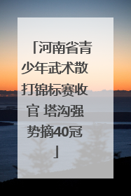 河南省青少年武术散打锦标赛收官 塔沟强势摘40冠