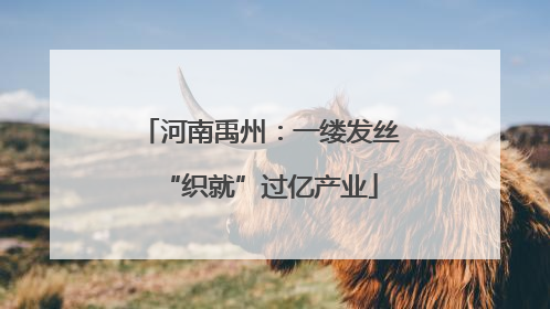 河南禹州：一缕发丝“织就”过亿产业