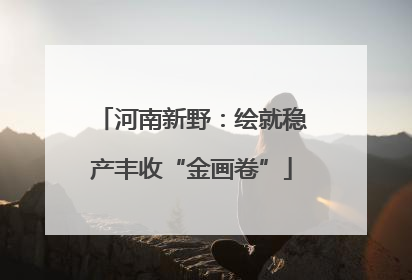 河南新野：绘就稳产丰收“金画卷”