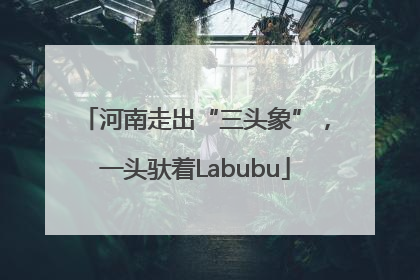 河南走出“三头象”，一头驮着Labubu