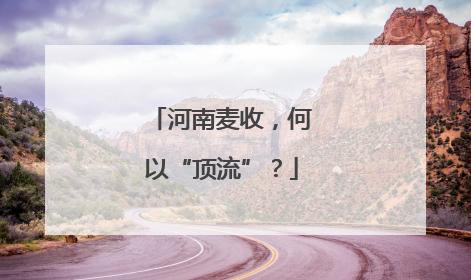 河南麦收，何以“顶流”？