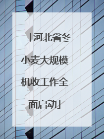 河北省冬小麦大规模机收工作全面启动