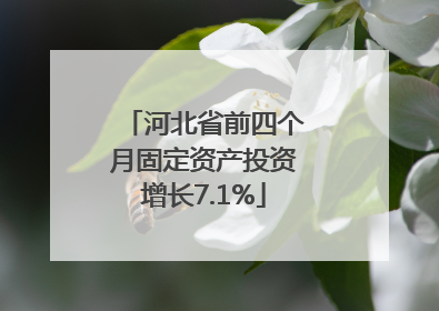 河北省前四个月固定资产投资增长7.1%