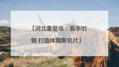河北秦皇岛：赛事引领 打造体育新名片