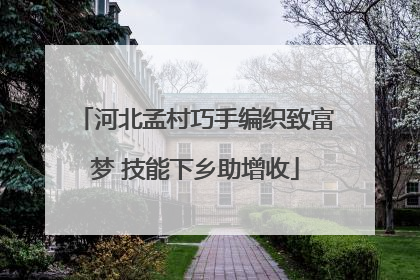 河北孟村巧手编织致富梦 技能下乡助增收
