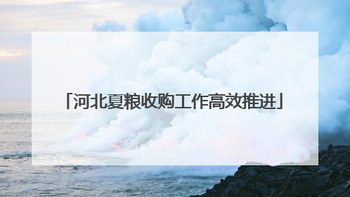 河北夏粮收购工作高效推进