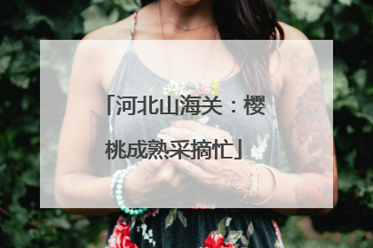 河北山海关：樱桃成熟采摘忙