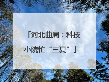 河北曲周：科技小院忙“三夏”