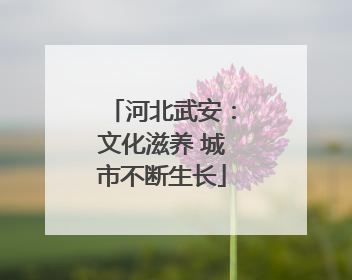河北武安：文化滋养 城市不断生长