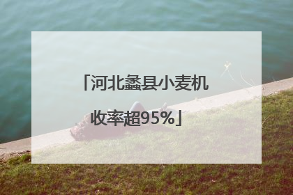 河北蠡县小麦机收率超95%
