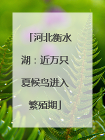河北衡水湖：近万只夏候鸟进入繁殖期