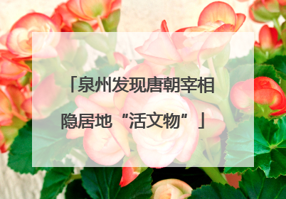 泉州发现唐朝宰相隐居地“活文物”