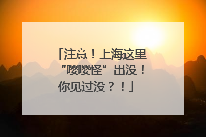 注意！上海这里“嘤嘤怪”出没！你见过没？！