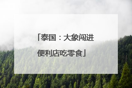 泰国：大象闯进便利店吃零食