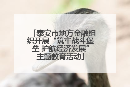 泰安市地方金融组织开展“筑牢战斗堡垒 护航经济发展”主题教育活动