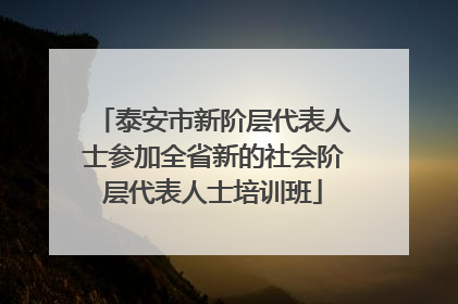 泰安市新阶层代表人士参加全省新的社会阶层代表人士培训班