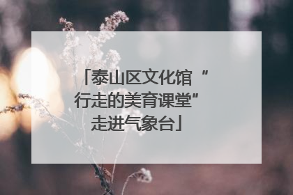 泰山区文化馆“行走的美育课堂”走进气象台