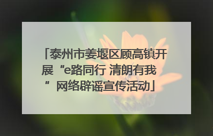 泰州市姜堰区顾高镇开展“e路同行 清朗有我”网络辟谣宣传活动