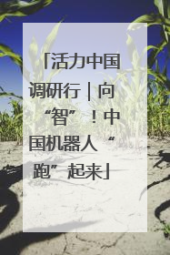 活力中国调研行｜向“智”！中国机器人“跑”起来