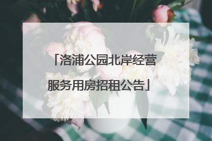 洛浦公园北岸经营服务用房招租公告