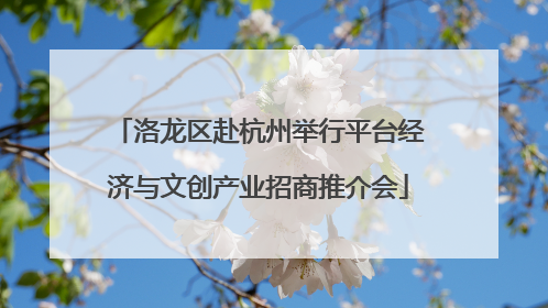洛龙区赴杭州举行平台经济与文创产业招商推介会