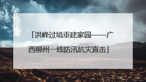 洪峰过境重建家园——广西柳州一线防汛抗灾直击