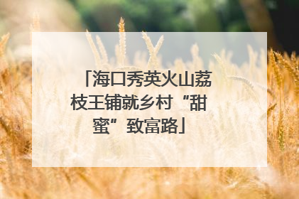 海口秀英火山荔枝王铺就乡村“甜蜜”致富路