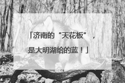 济南的“天花板”，是大明湖给的蓝！