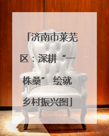 济南市莱芜区：深耕“一株桑” 绘就乡村振兴图