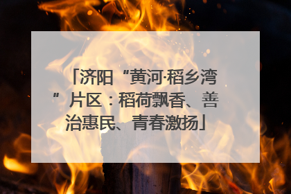 济阳“黄河·稻乡湾”片区：稻荷飘香、善治惠民、青春激扬