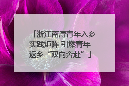 浙江南浔青年入乡实践矩阵 引燃青年返乡“双向奔赴”