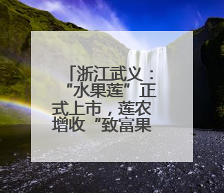 浙江武义：“水果莲”正式上市，莲农增收“致富果”注活力